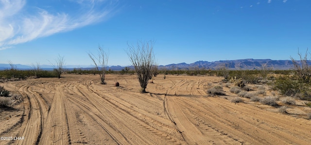 Listing photo 3 for LOT198 S Cortaro Rd, Yucca AZ 86438