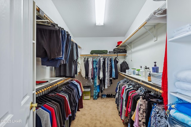 walk in closet with light colored carpet