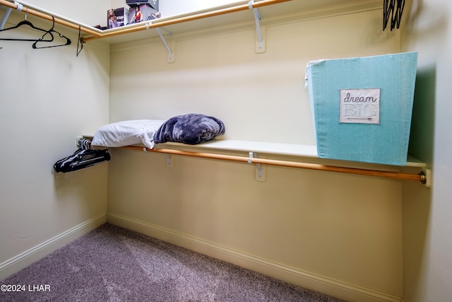 spacious closet featuring carpet