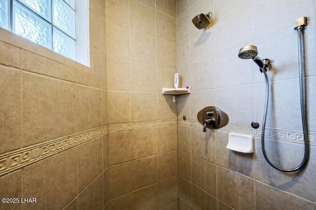8839 Yaqui Loop, Parker, AZ 85344 - bathroom view of a tile shower