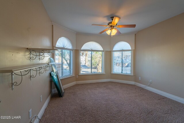 spare room featuring ornamental molding, carpet flooring, and ceiling fan