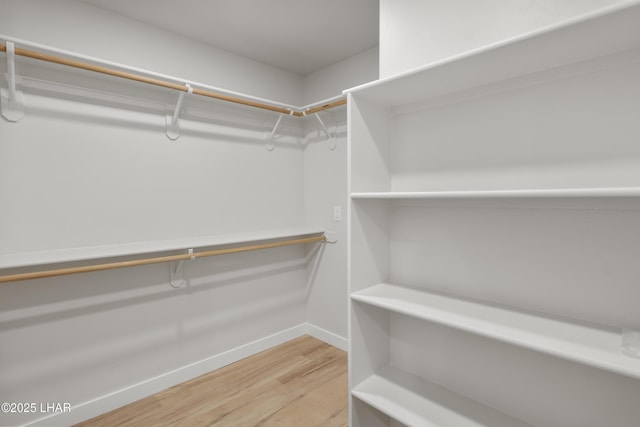 walk in closet with light wood-type flooring