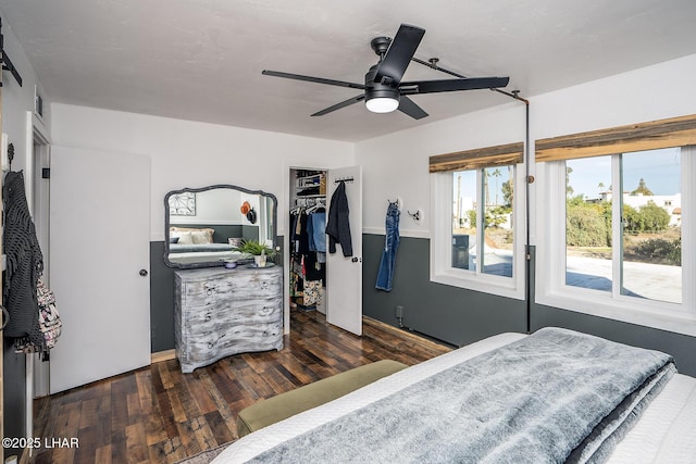 bedroom with dark hardwood / wood-style flooring, a spacious closet, a closet, and ceiling fan