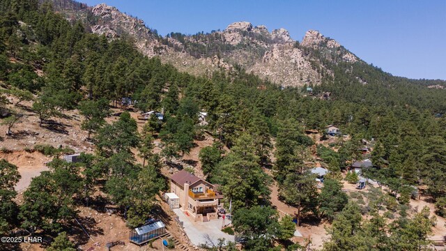 4681 S Hanson Rd, Kingman, AZ 86401 - photo 43