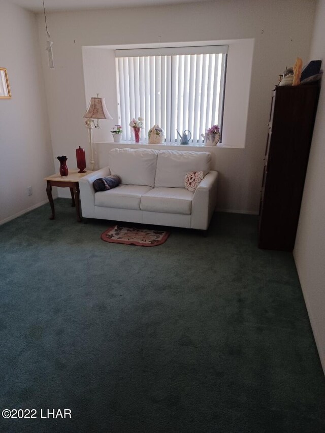 2598 Sunkentree Dr, Lake Havasu City, AZ 86403 - photo 13