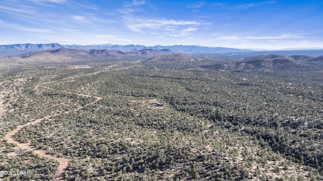 drone / aerial view with a mountain view