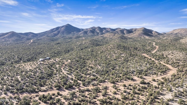 view of mountain feature