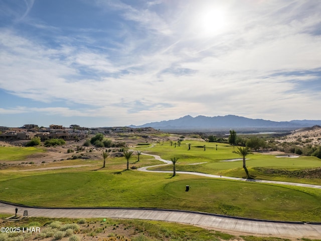 1984 E Troon Dr, Lake Havasu City, AZ 86404 - photo 12
