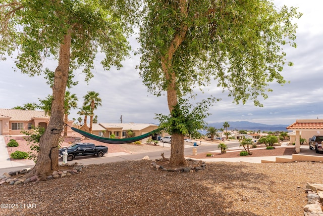3849 Bear Dr, Lake Havasu City, AZ 86406 - photo 86