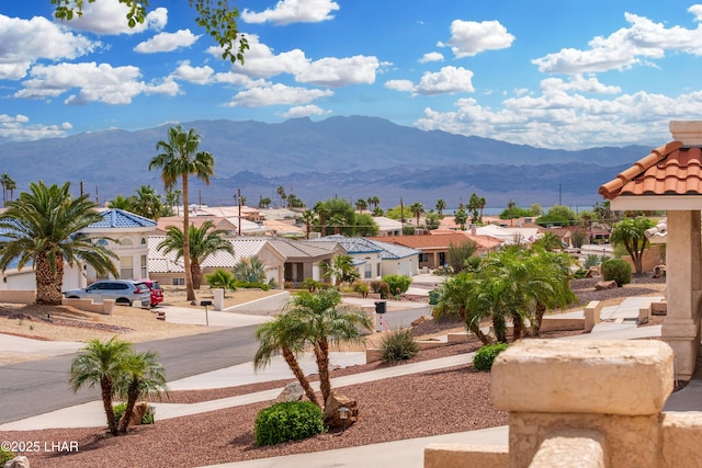 3849 Bear Dr, Lake Havasu City, AZ 86406 - photo 73