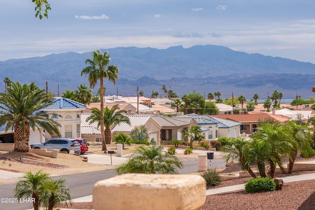 3849 Bear Dr, Lake Havasu City, AZ 86406 - photo 72