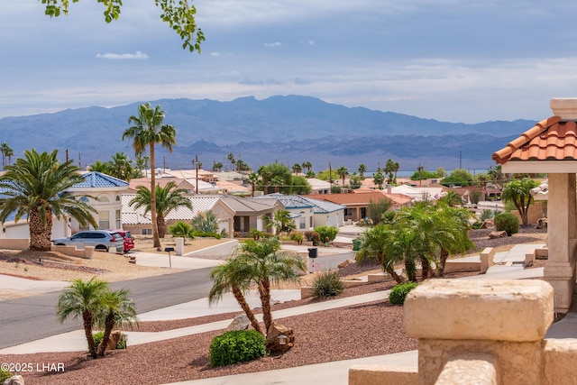 3849 Bear Dr, Lake Havasu City, AZ 86406 - photo 74