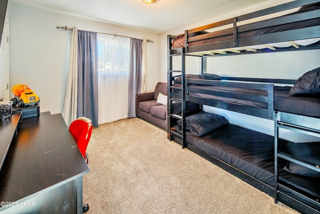 610 Roamer Ln, Lake Havasu City, AZ 86403 - bedroom featuring carpet