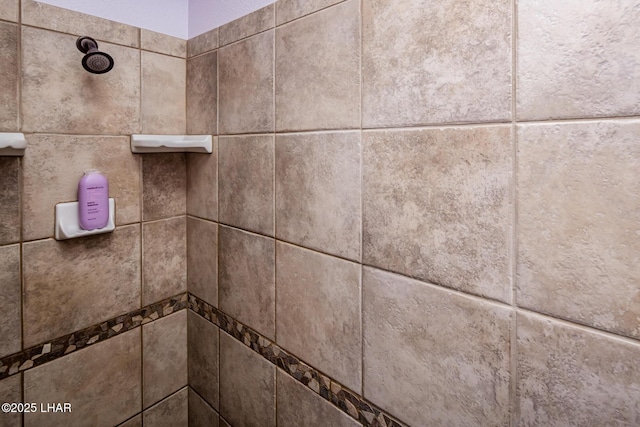 2641 Palo Verde Blvd N, Lake Havasu City, AZ 86404 - room details with a tile shower