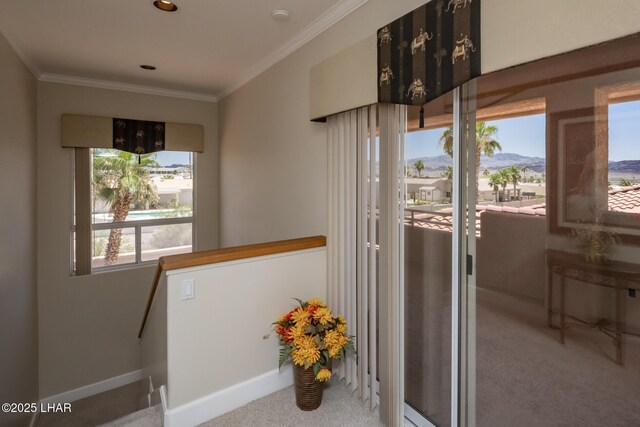 2410 Demaret Dr, Lake Havasu City, AZ 86406 - photo 36