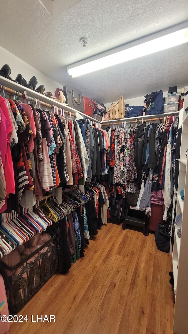 walk in closet featuring wood-type flooring