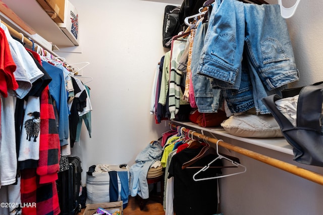 walk in closet featuring wood finished floors