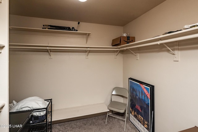 2613 Packet Ln, Lake Havasu City, AZ 86403 - walk in closet with carpet