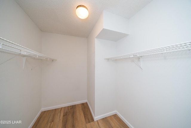 2340 Jamaica Blvd S, Lake Havasu City, AZ 86406 - spacious closet with light wood finished floors