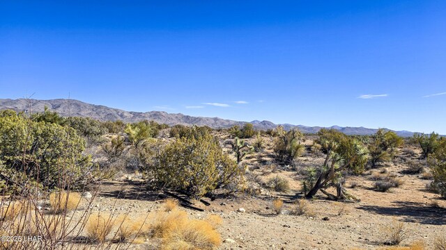6962 E Black Kettle Dr, Yucca, AZ 86438 - photo 51