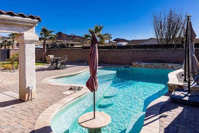 view of pool featuring a patio