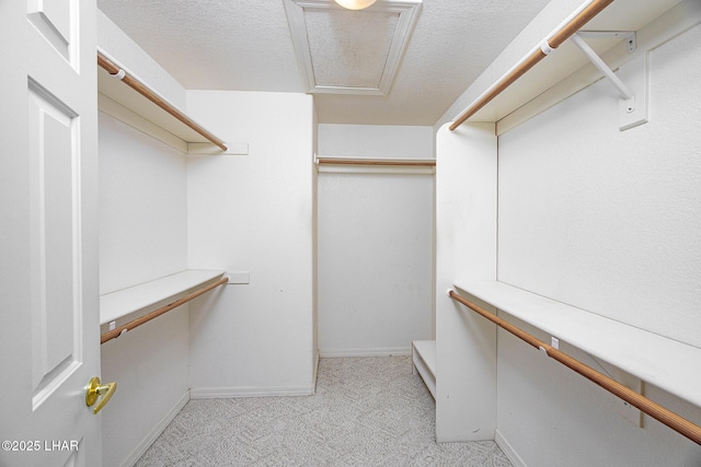 spacious closet featuring light colored carpet