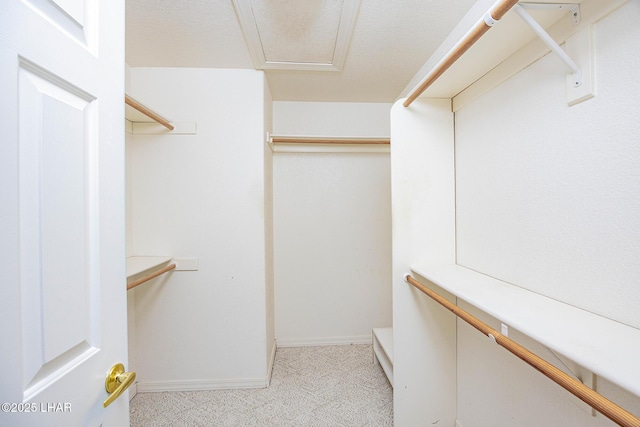 walk in closet with light colored carpet