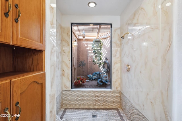 interior space with walk in shower