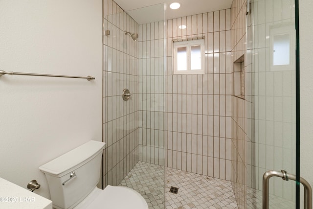 2529 Sunchief Ln, Lake Havasu City, AZ 86403 - full bath featuring toilet and a shower stall