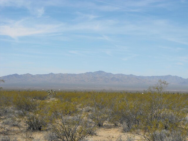 PARCEL416 Tom Mix Rd, Yucca, AZ 86438 - photo 1