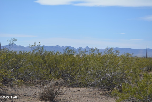 1478 Bacobi Rd, Golden Valley, AZ 86413 - photo 14
