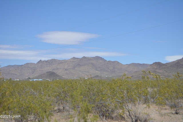1478 Bacobi Rd, Golden Valley, AZ 86413 - photo 24