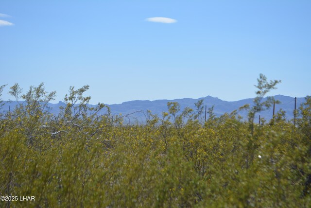 1478 Bacobi Rd, Golden Valley, AZ 86413 - photo 10
