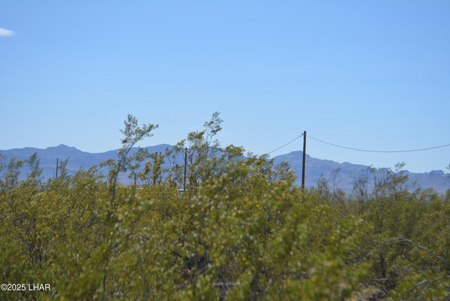 1478 Bacobi Rd, Golden Valley, AZ 86413 - photo 11