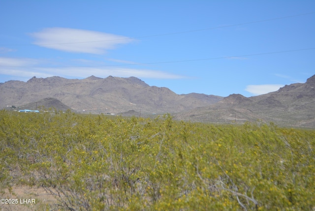 1478 Bacobi Rd, Golden Valley, AZ 86413 - photo 23