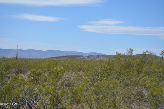 1478 Bacobi Rd, Golden Valley, AZ 86413 - photo 16