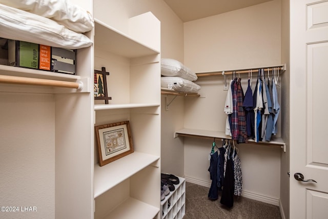 spacious closet featuring carpet flooring