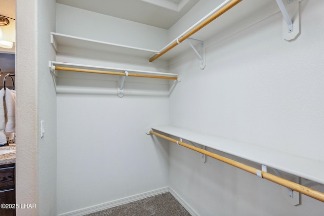 walk in closet featuring carpet flooring