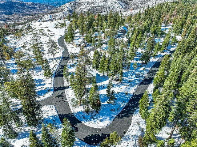 39541 Sunrock Ln, Shaver Lake, CA 93664 - photo 21