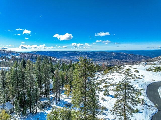 39541 Sunrock Ln, Shaver Lake, CA 93664 - photo 18