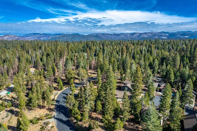 39541 Sunrock Ln, Shaver Lake, CA 93664 - photo 12