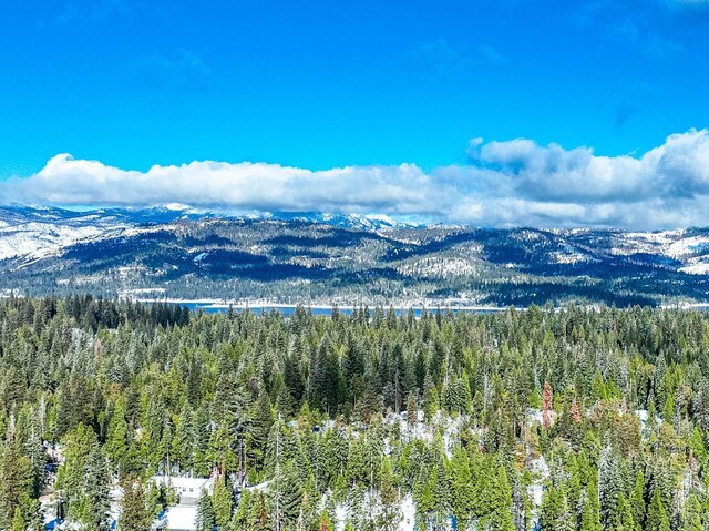39541 Sunrock Ln, Shaver Lake, CA 93664 - photo 4