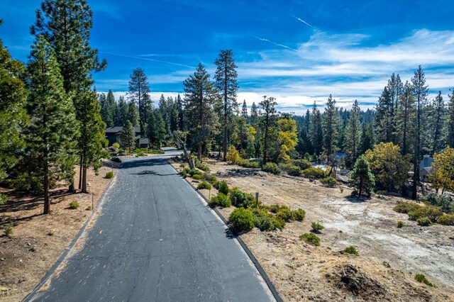 39541 Sunrock Ln, Shaver Lake, CA 93664 - photo 16