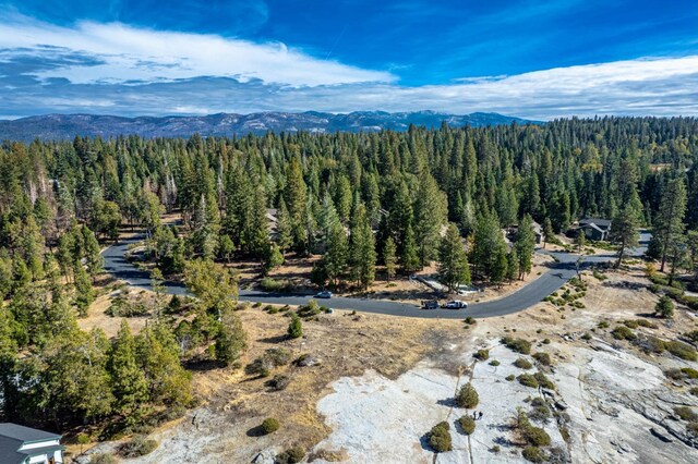 39541 Sunrock Ln, Shaver Lake, CA 93664 - photo 37