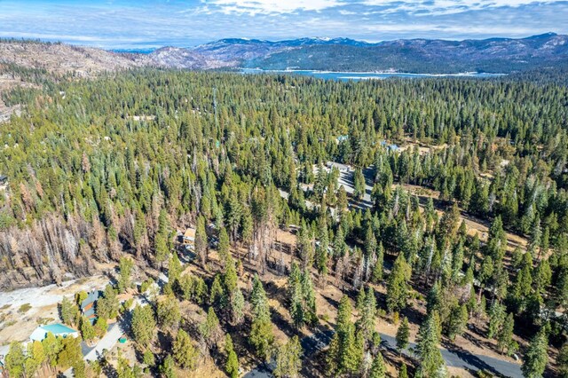 39541 Sunrock Ln, Shaver Lake, CA 93664 - photo 8