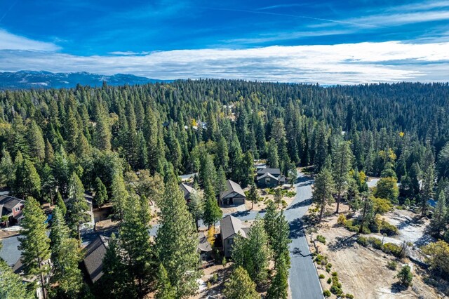 39541 Sunrock Ln, Shaver Lake, CA 93664 - photo 13
