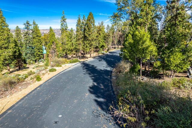 39541 Sunrock Ln, Shaver Lake, CA 93664 - photo 41