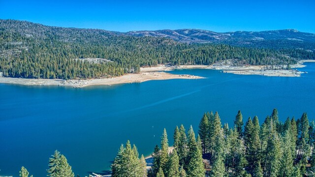 39541 Sunrock Ln, Shaver Lake, CA 93664 - photo 24