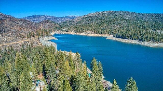 39541 Sunrock Ln, Shaver Lake, CA 93664 - photo 49