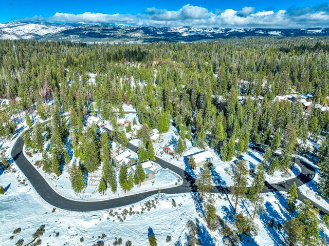 39541 Sunrock Ln, Shaver Lake, CA 93664 - photo 29